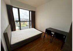 Sims Urban Oasis (D14), Condominium #598256711